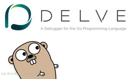 golang远程调试，dlv+goland
